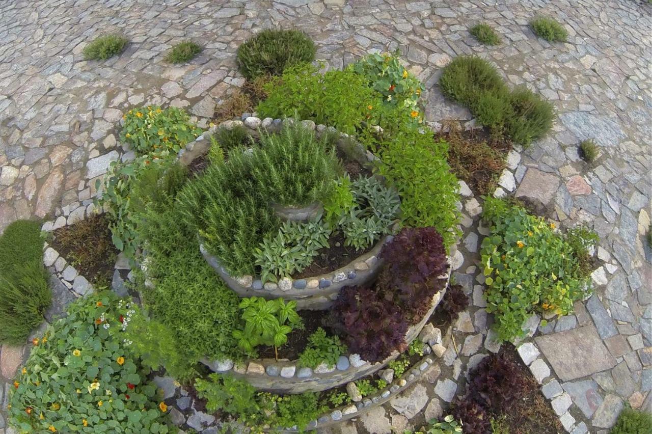 Intirumi Inn Caraz Dış mekan fotoğraf