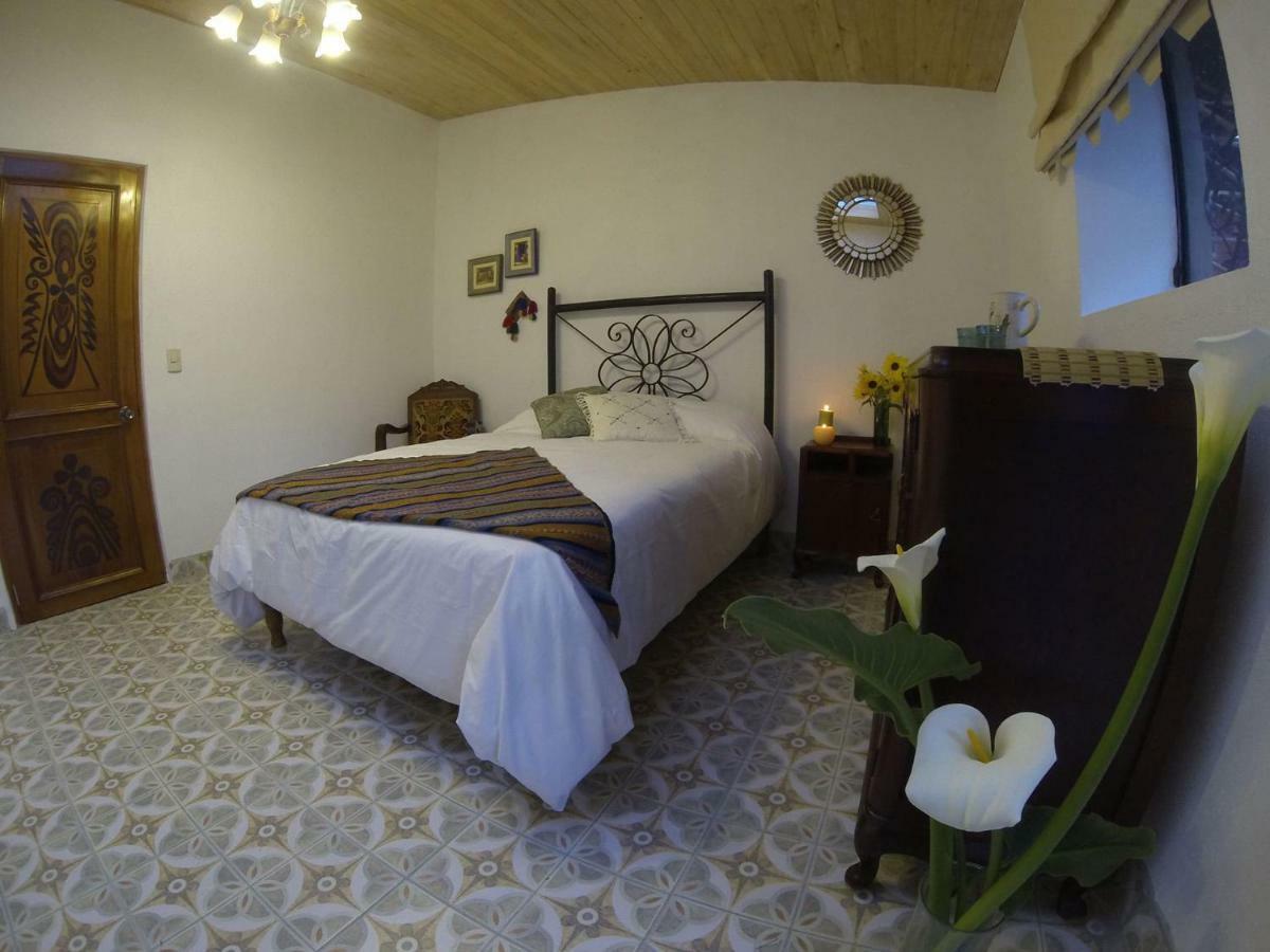 Intirumi Inn Caraz Dış mekan fotoğraf